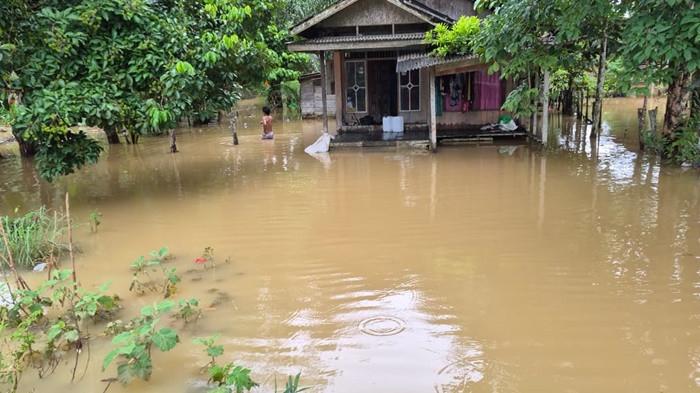 WASPADA BANJIR: Empat Desa di DAS Batulicin Siaga Antisipasi Kenaikan Debit Air WASPADA BANJIR: Empat Desa di DAS Batulicin Siaga Antisipasi Kenaikan Debit Air