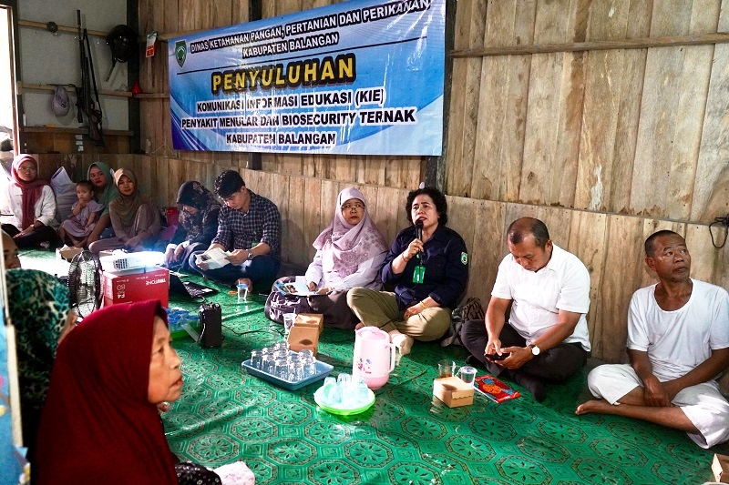 DKP3 Balangan Berikan Penyuluhan KIE Biosecurity Ternak di Desa Nungka DKP3 Balangan Berikan Penyuluhan KIE Biosecurity Ternak di Desa Nungka